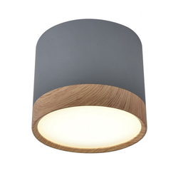 LED plafonsko svetlo TUBA LED/9W/230V