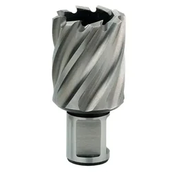 Krunasto glodalo HSS 26x30mm sa weldon prihvatom (3/4) Metabo