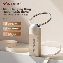 Nintaus USB Flash memorija, 32GB, USB 2.0, Srebrne boje