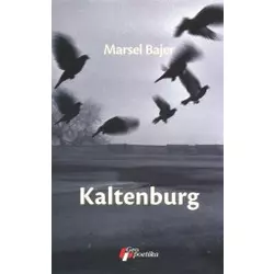 Kaltenburg