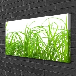 tulup.si Slika na platnu Grass nature rastlin 100x50 cm