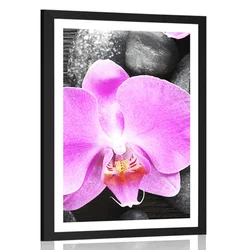 Plakat s paspartujem čudovita orhideja in kamni - 40x60 no frame