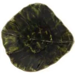 Posodica za pomake Costa Nova Leaf Riviera 11 cm, temno zelena