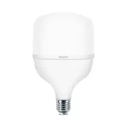 Braytron LED sijalica BRY-ADVANCE-30W-E27-T100-PLS-3000K