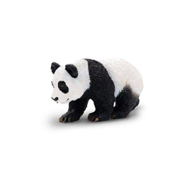 Safari Mláďa pandy