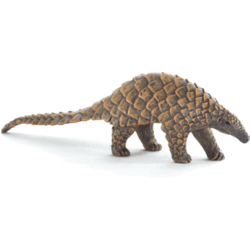 Mojo Rough-tailed Scaly