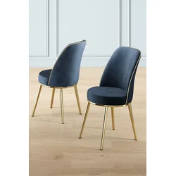 Hanah Home Set stolica Pefa, 45x91x42 cm, 2 komada, Antracit-zlatne boje