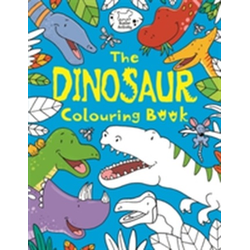 Dinosaur Colouring Book