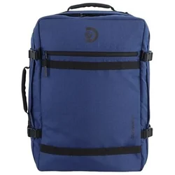 Discovery D0040049 pisana