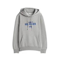 TOMMY HILFIGER Majica modra/pegasto siva