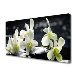 tulup.si Slika na platnu Cvet orhideje rastlin 100x50 cm