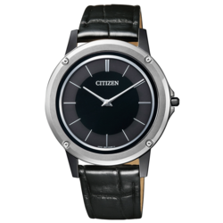 CITIZEN AR5024-01E