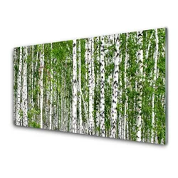 tulup.si Slika na akrilnem steklu Birch tree forest narava 140x70 cm 2 obešalnika