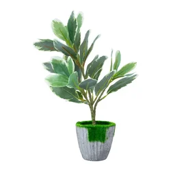 Homestar Umetna rastlina H27cm