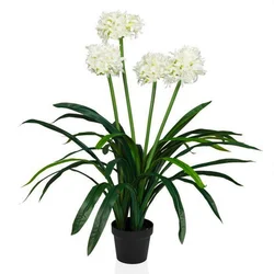 MID.YOU Umetna Rastlina Agapanthus