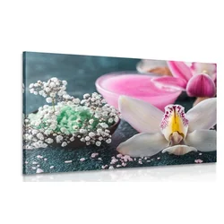 Slika čudovita detajlna orhideja - 30x20