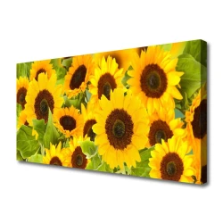 tulup.si Slika na platnu Sončnice rastlin 125x50 cm
