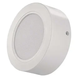 LED plafonsko svetlo LED/9W/230V prečnik 12 cm belo