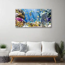 tulup.si Steklena slika Barrier reef narava 120x60 cm 2 obešalnika