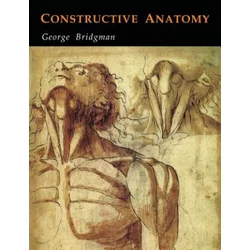 Constructive Anatomy