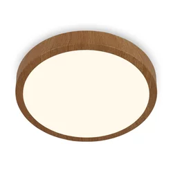 Brilo - LED plafonsko svetlo RUNA LED/24W/230V