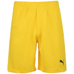 Puma Hlače rumena 182 - 187 cm/L Teamrise