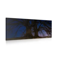 Slika drevo v nočni pokrajini - 60x30