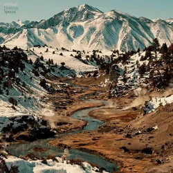 Will Sheff - Nothing Special (Limited Edition) (Eco Mix Coloured) (LP)