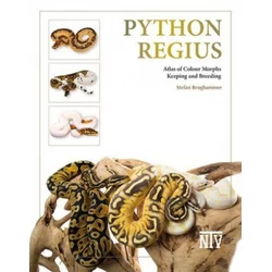 Python regius