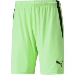 Puma Hlače svetlo zelena 170 - 175 cm/S Teamliga