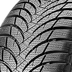 Nexen Winguard SnowG WH2 ( 205/60 R15 91T )