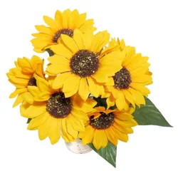 Buket suncokret 1x7