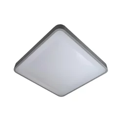 LED stropna svetiljka WILTON LED/24W/230V siva