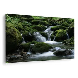 Slika gozdni potok med mahom - 150x100