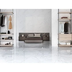 ELEGANCE MARBLE WHITE 60x120