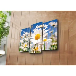 WallXpert slika na platnu od 3 dela 3NATPAT-23, bele rade na livadi pod plavim nebom, 45 x 66 cm
