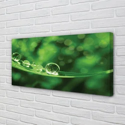 tulup.si Slika na platnu Voda pade makro 120x60 cm