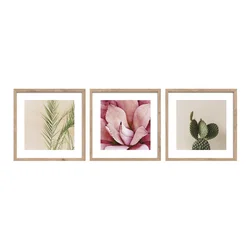 Tiskane slike v kompletu 3 ks z okvirjem 30x30 cm Fresh – Styler