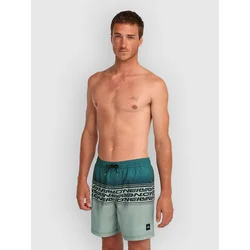 ONeill Logo Stripe 16 kopalne hlače green heritage stripe