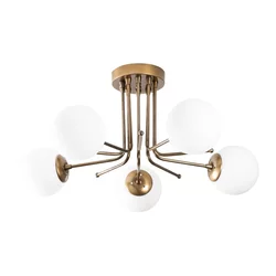 OPVIQ Daisy 146 AV2
