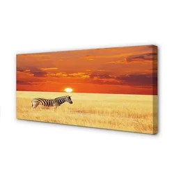 tulup.si Slika na platnu Zebra polje sunset 140x70 cm