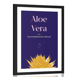 Plakat s paspartujem in napisom Aloe Vera - 30x45 white