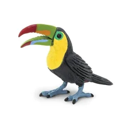 Safari Tukan
