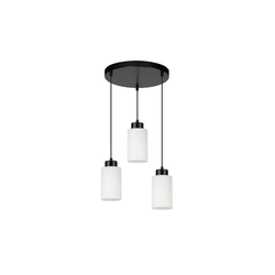Spot-Light 1721304 - Luster na sajli BOSCO 3xE27/60W/230V