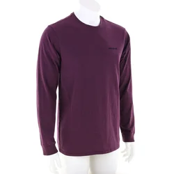 Patagonia P-6 Logo Responsibili-Tee LS Moški Majica