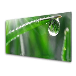 tulup.si Slika na steklu Dew drop leaf grass 100x50 cm 4 obešalnika