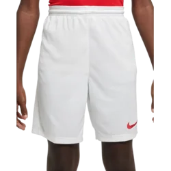 Dri-FIT Park III Women