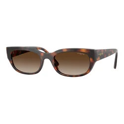 Vogue Eyewear VO5669S 271813