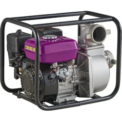 NEXSAS MOTORNA PUMPA NXWP-30