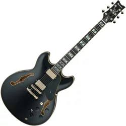 Ibanez JSM20 Black Low Gloss